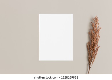 White Invitation Card Mockup With Dry Flower. 5x7 Ratio, Similar To A6, A5.