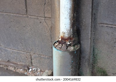 The White Iron Pillar Is Rusting