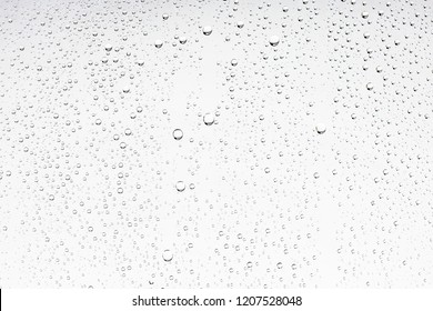 white isolated background water drops the glass / wet window glass and splashes   drops water   lime  texture autumn background