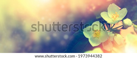 Similar – Image, Stock Photo leaf of a jasmine Nature