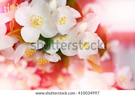 Similar – Image, Stock Photo leaf of a jasmine Nature