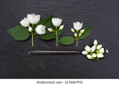 White Jasmine Flowers And Black  Spoon On A Black Slate Surface. Top View. Shallow Depth Of Field