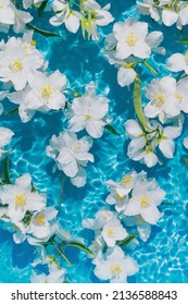 White Jasmine Flowers In Blue Transparent Water. Summer Floral Composition With Sun And Shadows. Nature Concept. Top View. Selective Focus
