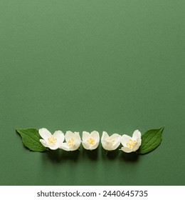 White jasmine flowers on green background. Square. Wedding invitation, Birthday, Mother's day. Natural cosmetic, herbal tea. Flat lay, top view, copy space. Flowers composition. - Powered by Shutterstock