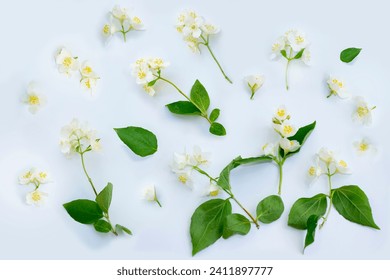 Vue de dessus sur motif de fleurs de Jasmin blanches, couche à plat. fleurs printanières délicates. nature : photo de stock