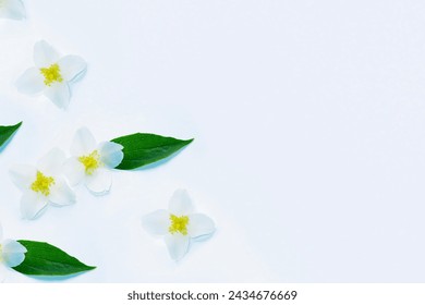 White Jasmine flowers pattern top view, flat lay. delicate spring flowers. nature Foto Stok