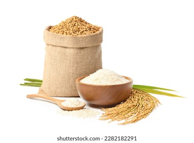 White Jasmine rice with paddy rice isolated on white background.
