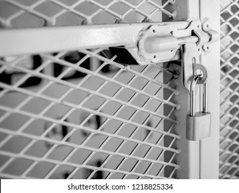 The Lock On The Fence Images Stock Photos Vectors Shutterstock