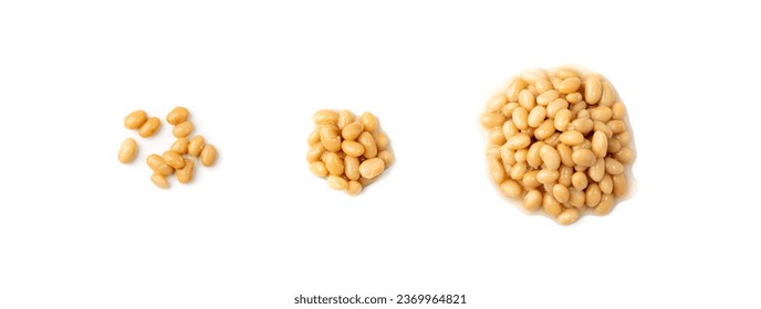 White kidney beans isolated. Cooked cannellini bean pile, baked legume, canned yellow beans, Phaseolus vulgaris, haricot stew, boiled leguminous ingredient on white background top view