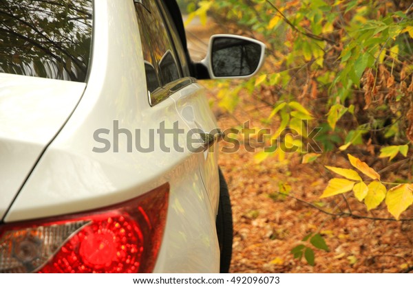 White korean\
car in details on autumn\
background