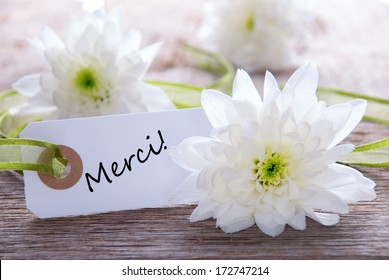 Merci Images Photos Et Images Vectorielles De Stock Shutterstock