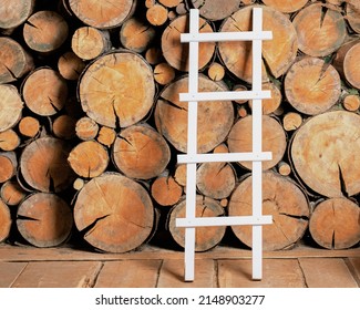 A white ladder with rungs is leaning against a woodpile in the barn. The woodpile made of cross-cut trees is high