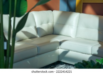 White Leather Sofa Sectional Orange Wall Furniture Store New Leather Luxury Sofa Set Shadow Plants Sunshine Home Design Interior Designer New Home Messy Traditional Family Life Summer Shine Light 