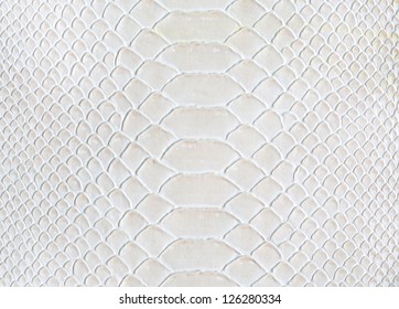 white leather texture ,snake skin texture