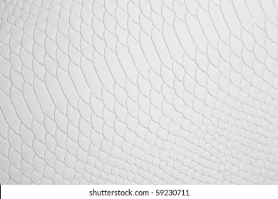 White Leather Texture ,snake Skin Texture