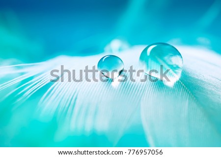 White light airy soft bird feather with transparent fresh drops of water on  turquoise blue background close-up macro. Delicate dreamy exquisite artistic image of the purity and fragility of nature.