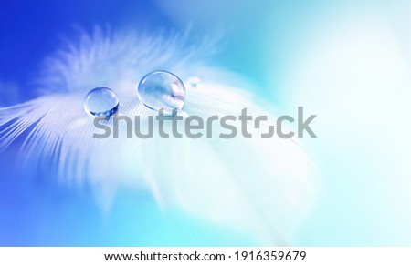 White light airy soft feather with transparent drops of water on light blue background. Delicate dreamy exquisite artistic image of purity and fragility of nature.