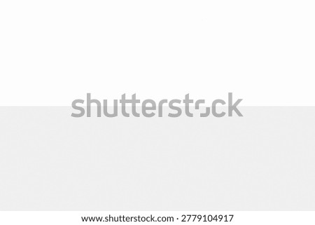 White and light gray split two-tone minimalist background