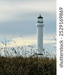 A white lighthouse stands tall amidst wild grass under a cloudy sky in Point Arena, California, serving as a beacon of guidance along the rugged coast.