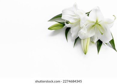 White liles flowers. Mourning or funeral background. Floral mock up.