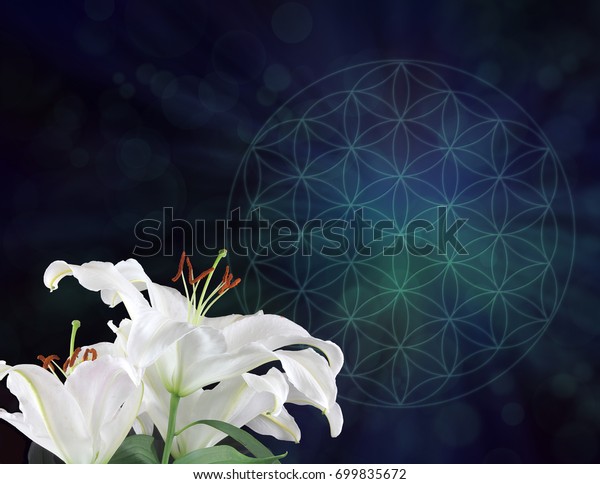 White\
Lilies and the Flower of Life Symbol Background  -  three white\
lily heads on left hand side with dark blue and green muted Flower\
of Life symbol behind with plenty of copy\
space