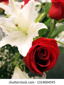 White Lily Bloom With Deep Red Rose