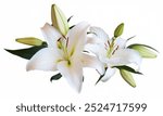 White Lily flower bouquet isolated on transparent background