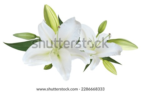 White Lily flower bouquet isolated on white background for card and decoration
