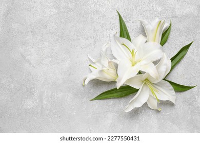 White lily flowers on light background