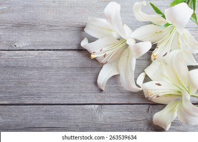 White Lily On Wooden Background