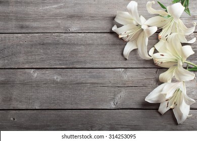 White Lily On Wooden Background