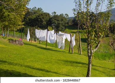 White Linen On Clothesline In Garden. White Bedsheets On Fresh Air In The Village. Housework Concept. Outdoor Laundry. Wind Blowing In Clean Linen On The Backyard On Sunny Day. Homework And Washing. 