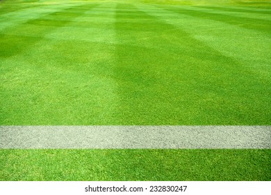 White Lines Of A Playing Field