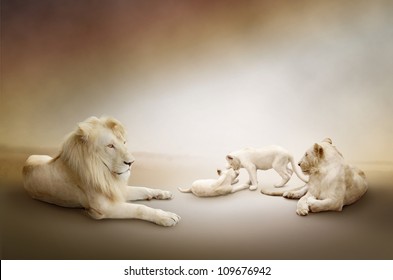 White Lion Family