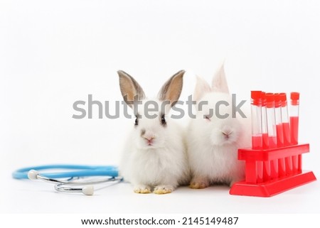 white little bunny with medical equipment stethoscope and experimental tubes on white background, concept of rabbit experimental,rabbit sick,rabbit health care,animal science lab etc