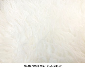 White long hair fur for background or texture