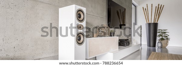 White Loudspeaker Modern Living Room Huge Stock Photo Edit Now