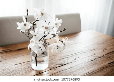 White Magnolia Twigs Freshly Cut Magnolia Stock Photo Edit Now 1077396893