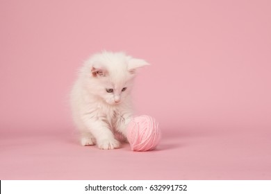 Pink Cat Images Stock Photos Vectors Shutterstock