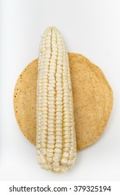 White Maize Corn on top of mexican tortilla produced in Mexico organic or transgenic isolated on white top view
