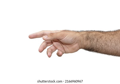 White Male Hairy Arm Stretching The Hand Or Shaking Hands, Isolated In White Background