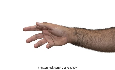 White Male Hairy Arm Stretching The Hand Or Shaking Hands, Isolated In White Background