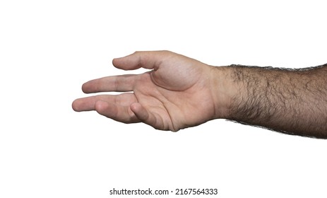 White Male Hairy Arm Stretching The Hand Or Shaking Hands, Isolated In White Background