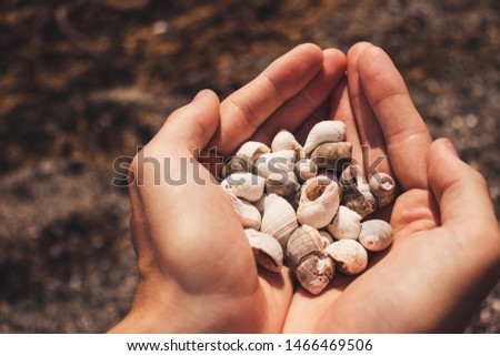 A white male holding a pile of seashells from the ocean.