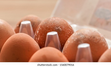 White Mildew / Mould Growing On Shells Of Eggs Stored In Cold / Wet Fridge For Long Time, Closeup Macro Detail