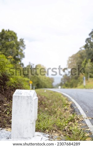 White milestones aligned. White milestones with green grass roadside. Milestones are representative of success in the past and goal for the future in this year.