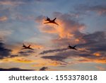 White millitary airplane in the blue sky