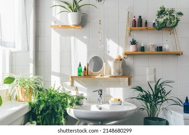 White modern bathroom in eco friendly stile. Shadows from the window on th tile wall at sunny day. Zero waste, eco friendly products, sustainability. Urban jungle. Biophilic design of interior