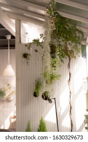 White Modern Style Interior With Plants Work Space Or Coworking Space 