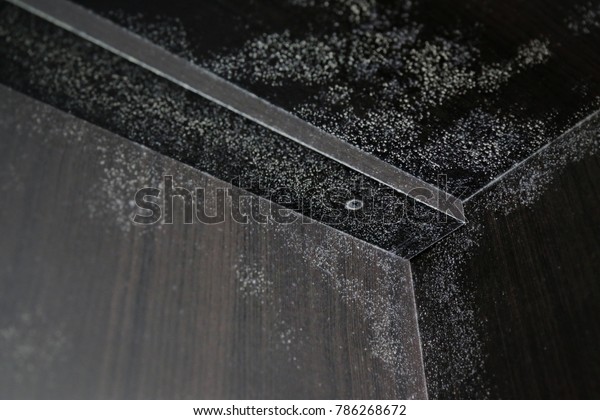 White Mold Appear Dirty Inside Corner Stock Photo Edit Now 786268672